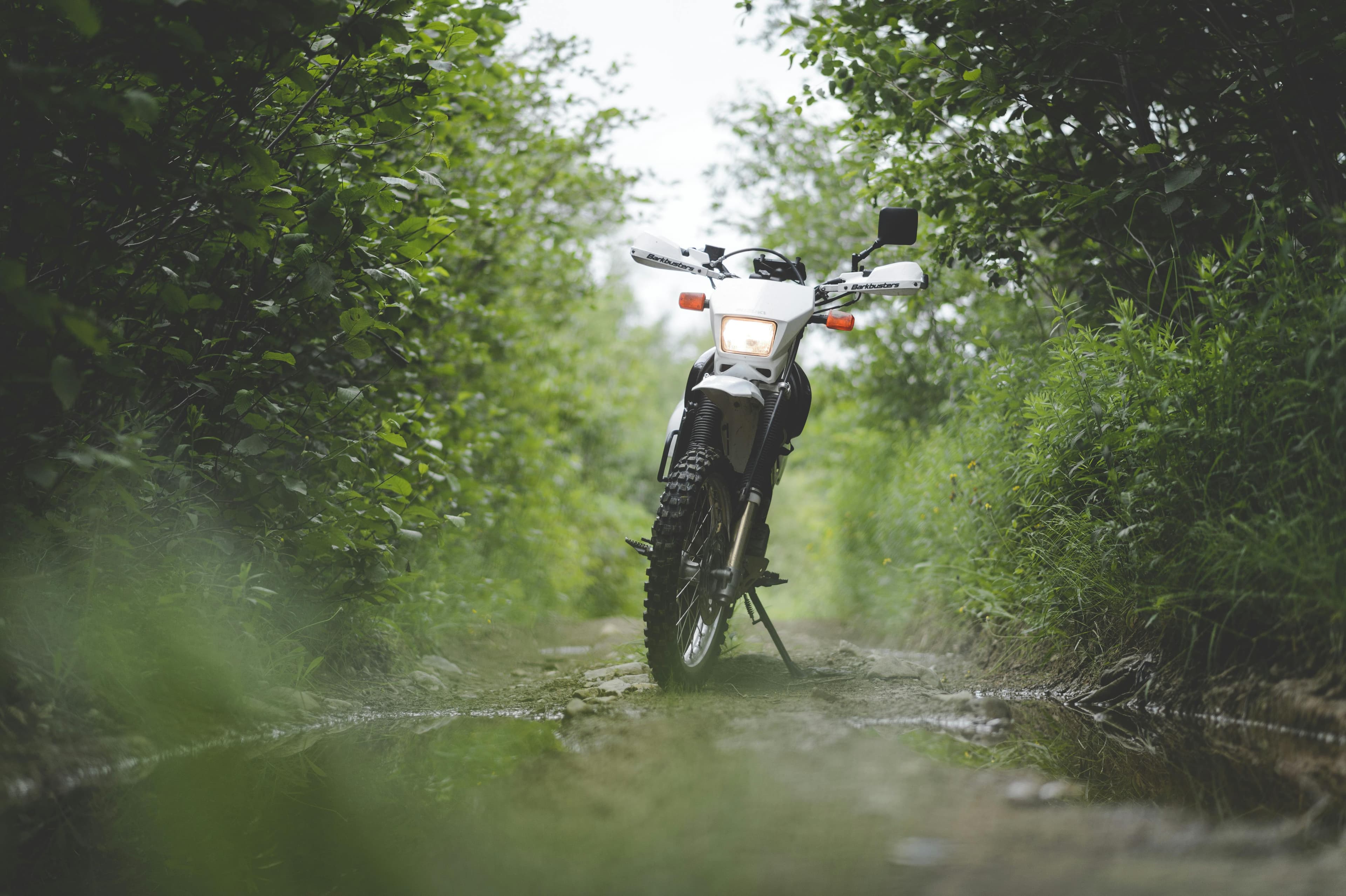 2026 Yamaha WR125R: First Ride Review